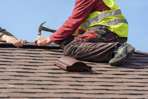 Best Roof Gutter Cleaning  in Harris Hill, NY