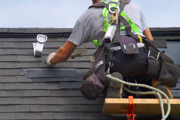 Best Local Roofing Companies  in Harris Hill, NY