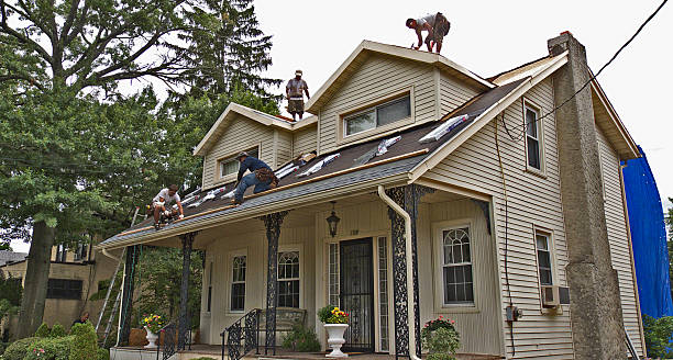 Best Gutter Installation and Roofing  in Harris Hill, NY