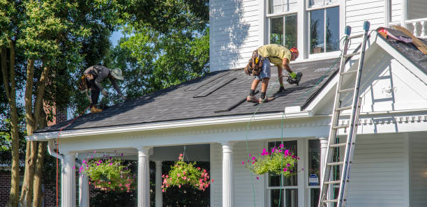 Best Flat Roof Repair Services  in Harris Hill, NY